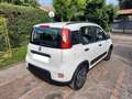 Fiat Panda Panda 1.0 hybrid City Life 5p S /S Bianco - thumbnail 4