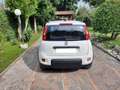 Fiat Panda Panda 1.0 hybrid City Life 5p S /S Bianco - thumbnail 6