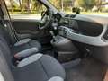 Fiat Panda Panda 1.0 hybrid City Life 5p S /S Bianco - thumbnail 7