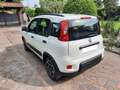 Fiat Panda Panda 1.0 hybrid City Life 5p S /S Bianco - thumbnail 5