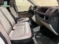Volkswagen T6 Caravelle 2.0 tdi Trendline 4motion LEGGERE  DESCRIZIONE Bianco - thumbnail 11