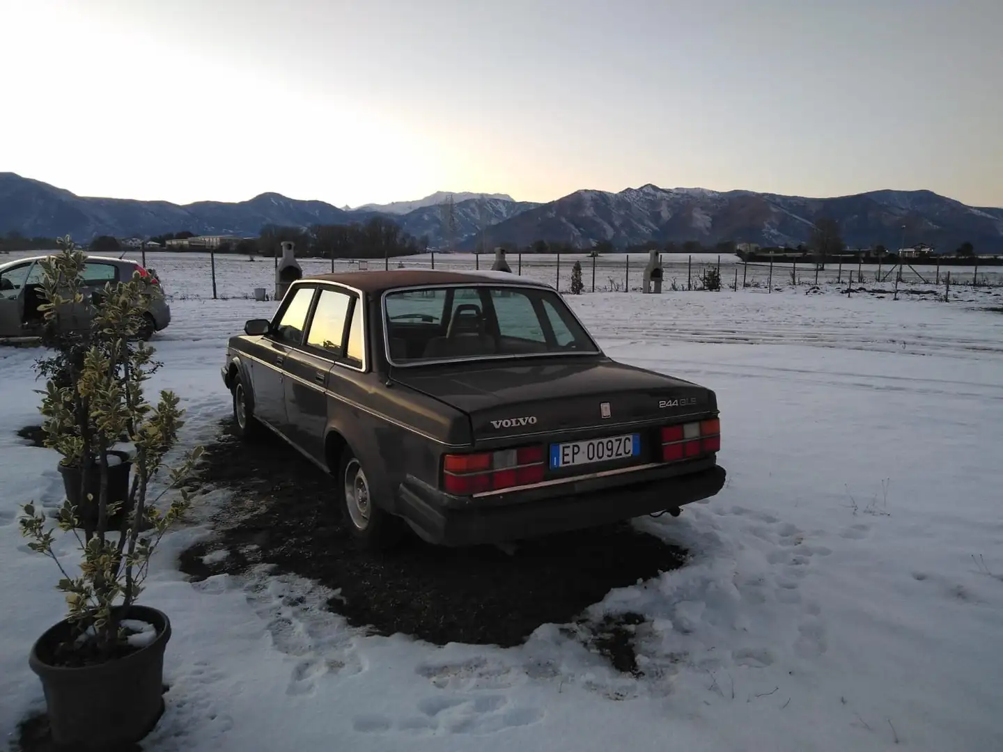 Volvo 244 GLE - 2