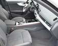 Audi A4 Avant 40TDI quattro S-line Competition Plus Matrix Grigio - thumbnail 13