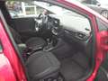 Ford Puma Titanium DAB LED RFK Tempomat Klimaaut. Rood - thumbnail 13