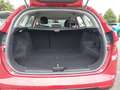 Kia Ceed SW / cee'd SW cee'd SW 1,4 CRDi Titan Rot - thumbnail 13