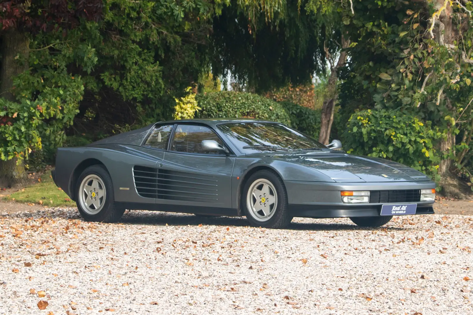 Ferrari Testarossa Gris - 1