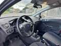 Ford Fiesta 5p 1.5 tdci Black&White 75cv E6 Grigio - thumbnail 10