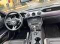 Ford Mustang Mustang Fastback 2.3 ecoboost 314cv *TOP SOUND* Argento - thumbnail 5
