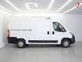 Peugeot Boxer 335 L2 H2 BlueHDi ISOTERMO + EQUIPO FRIO 130 Blanco - thumbnail 25