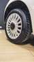Fiat 500 500 III 1.2 Lounge 69cv Bianco - thumbnail 5