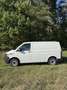 Volkswagen T6.1 Transporter Kastenwagen Plus KR 2,0 TDI - thumbnail 9