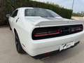 Dodge Challenger SXT 3.6 V6 Blanco - thumbnail 8