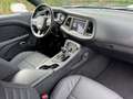 Dodge Challenger SXT 3.6 V6 Blanco - thumbnail 11