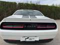Dodge Challenger SXT 3.6 V6 Blanco - thumbnail 7