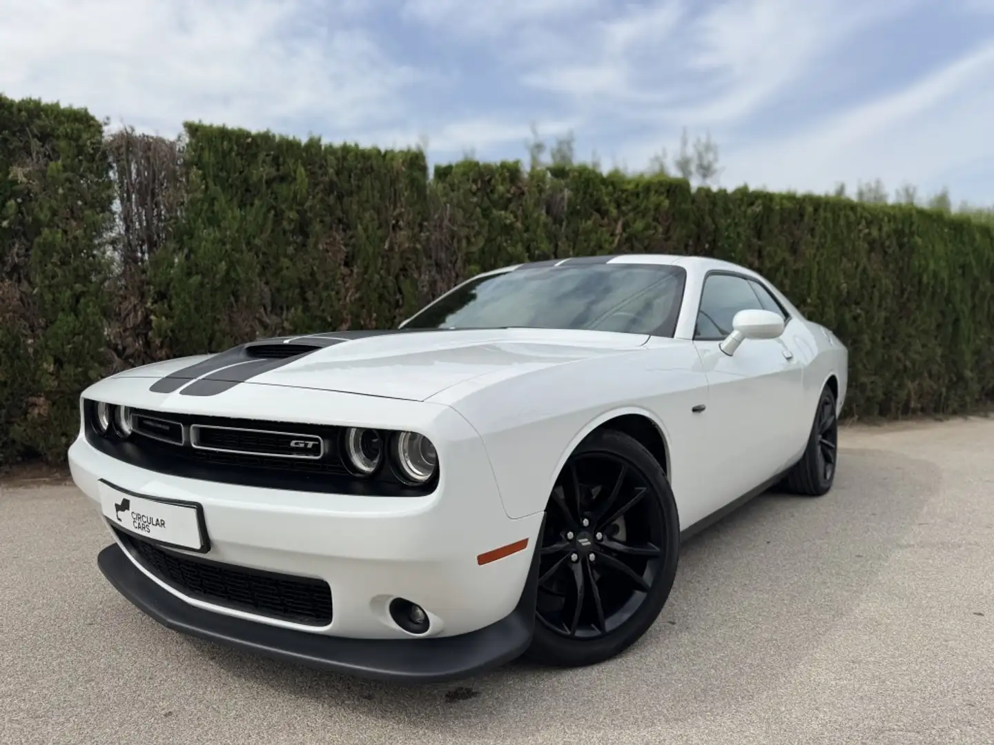 Dodge Challenger SXT 3.6 V6 Blanco - 2