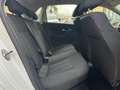 Volkswagen Polo 1.4 TDI 75CV Comfortline Bianco - thumbnail 11