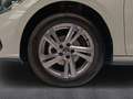 Volkswagen Polo 1.0 TSI "R-LINE" 95 PS DSG+NAVI+ACC+KLIMA+PDC+ Grau - thumbnail 11