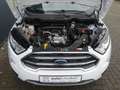 Ford EcoSport 1.0 EcoBoost Titanium X+PANORAMADACH. AHK,KAMERA Weiß - thumbnail 11