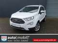 Ford EcoSport 1.0 EcoBoost Titanium X+PANORAMADACH. AHK,KAMERA Blanco - thumbnail 1