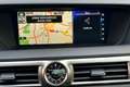 Lexus GS 450h President Line Gris - thumbnail 20