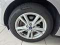 Ford S-Max S-MAX Business 2.0 EcoBlue SCR Aut. Silber - thumbnail 18