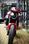 Ducati Monster 937 + ***MOTO VERTE*** Rouge - thumbnail 6