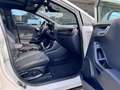 Ford Puma 1.5 EcoBlue 120 CV S&S ST-Line X Tetto Bang&olufse Beige - thumbnail 6