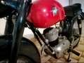 MV Agusta 125 Mv Agusta 125 4 Tempi Turismo Rapido 1955 Černá - thumbnail 9