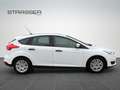 Ford Focus Lim. Ambiente Klima Fenster el. Blanc - thumbnail 14