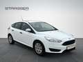 Ford Focus Lim. Ambiente Klima Fenster el. Blanc - thumbnail 16