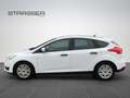 Ford Focus Lim. Ambiente Klima Fenster el. Blanc - thumbnail 9