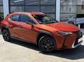 Lexus UX 250h Business 2WD Orange - thumbnail 4