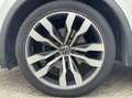 Volkswagen Tiguan 1.5 TSI R-Line Business| ACC|IQ-Light|Trek Grau - thumbnail 19