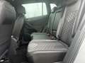 Volkswagen Tiguan 1.5 TSI R-Line Business| ACC|IQ-Light|Trek Grau - thumbnail 18