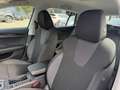 Skoda Octavia 2.0 TDI DPF Ambition 4x4 (EURO 6d) Silber - thumbnail 26