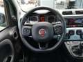 Fiat Panda City Cross 1.0 MHEV Launch Edition Vert - thumbnail 12
