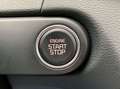 Kia Ceed / cee'd Grün - thumbnail 14