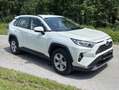 Toyota RAV 4 RAV4 2,5 Hybrid Active AWD Active Weiß - thumbnail 11