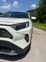 Toyota RAV 4 RAV4 2,5 Hybrid Active AWD Active Weiß - thumbnail 4