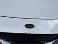Ford Puma ST-Line X Weiß - thumbnail 9