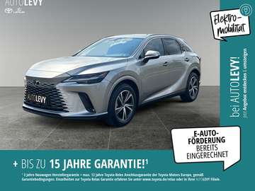 Plug-In Business *Förderung 4.500 € inkl.*