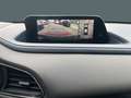 Mazda CX-30 Selection HUD Navi 360 Kamera LED ACC Apple CarPla Grijs - thumbnail 15