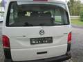Volkswagen T6 Kombi LR 2,0 TDI 4Motion Weiß - thumbnail 4
