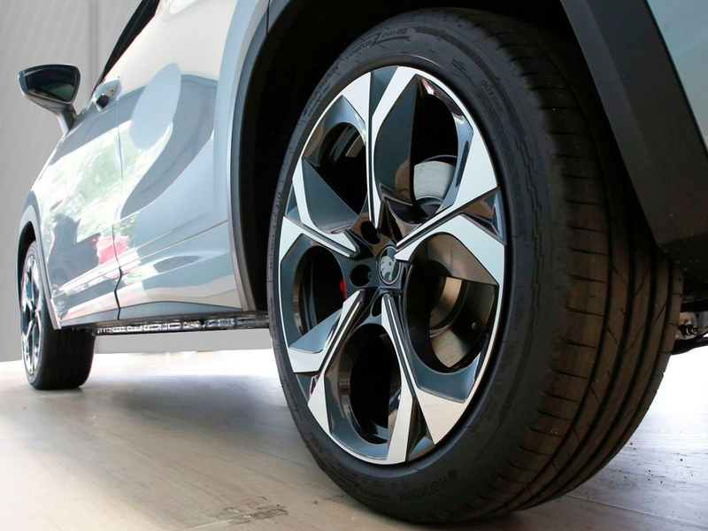 Skoda Kodiaq RS 2.0 TSI UPE 65.030 4x4 AHK Panorama — photo 6