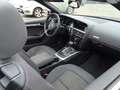Audi A5 1.8 TFSI (125kW) Cabriolet (8F7) Rot - thumbnail 10