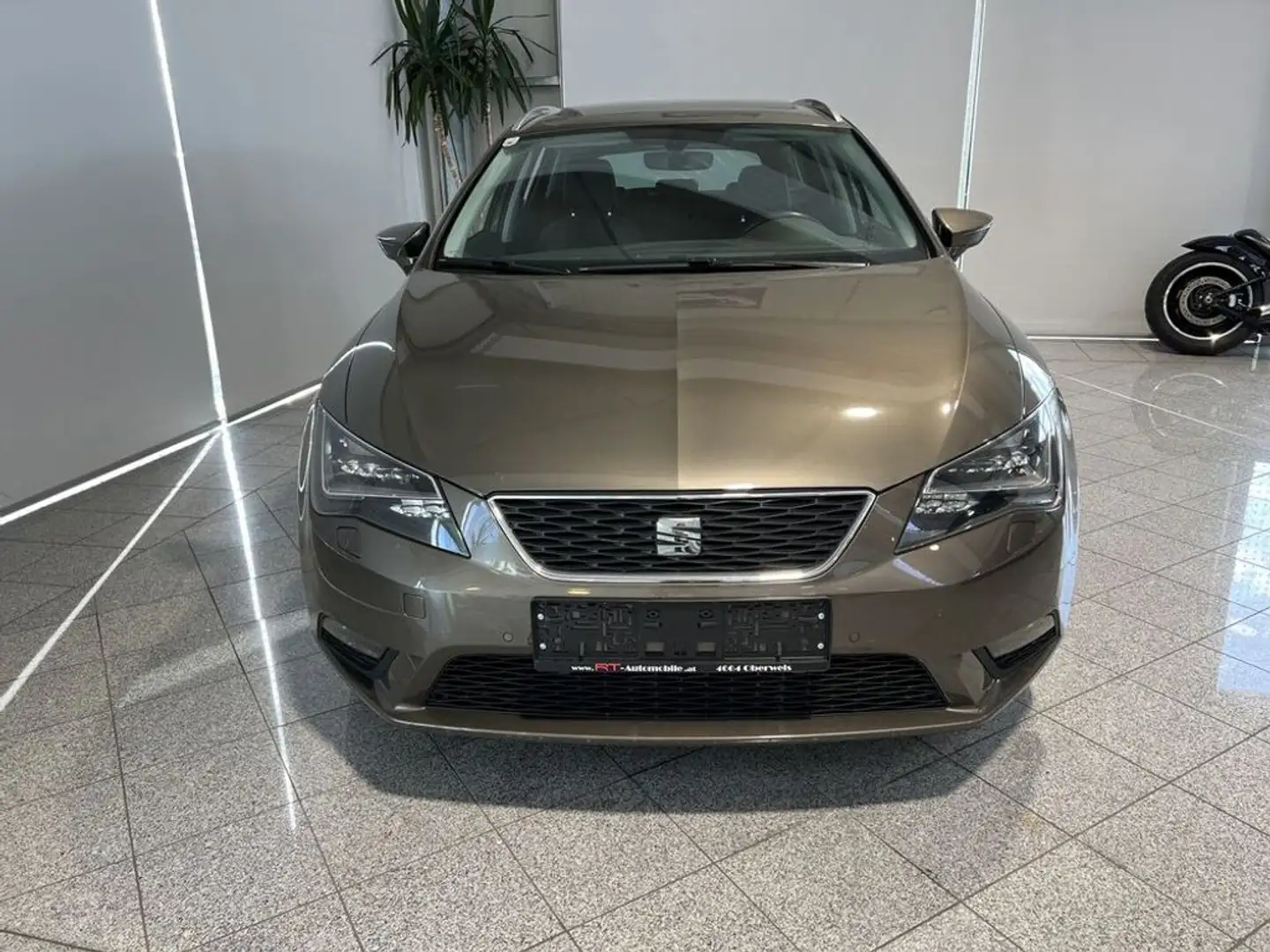 SEAT Leon Executive Braun - 2