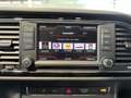 SEAT Leon Executive Braun - thumbnail 16
