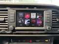 SEAT Leon Executive Braun - thumbnail 15