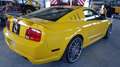 Ford Mustang 5.0  V8 Gelb - thumbnail 11