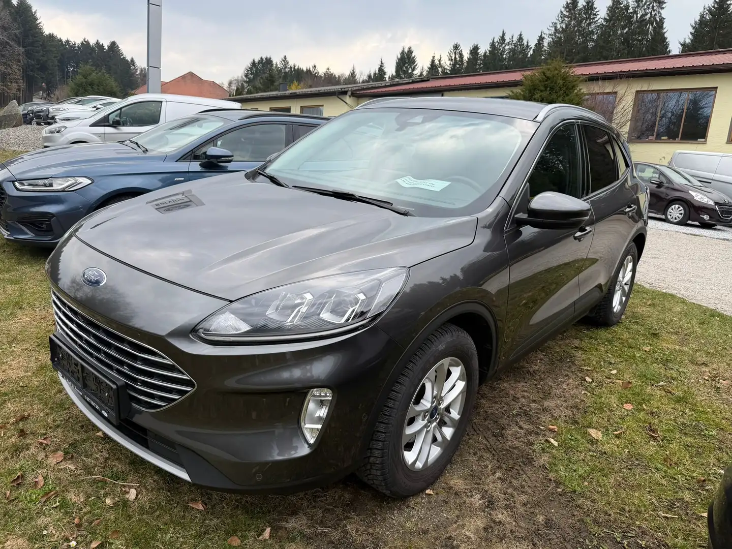 Ford Kuga Titanium, Aut., Winter Paket, Rückfahrkamera Grau - 2